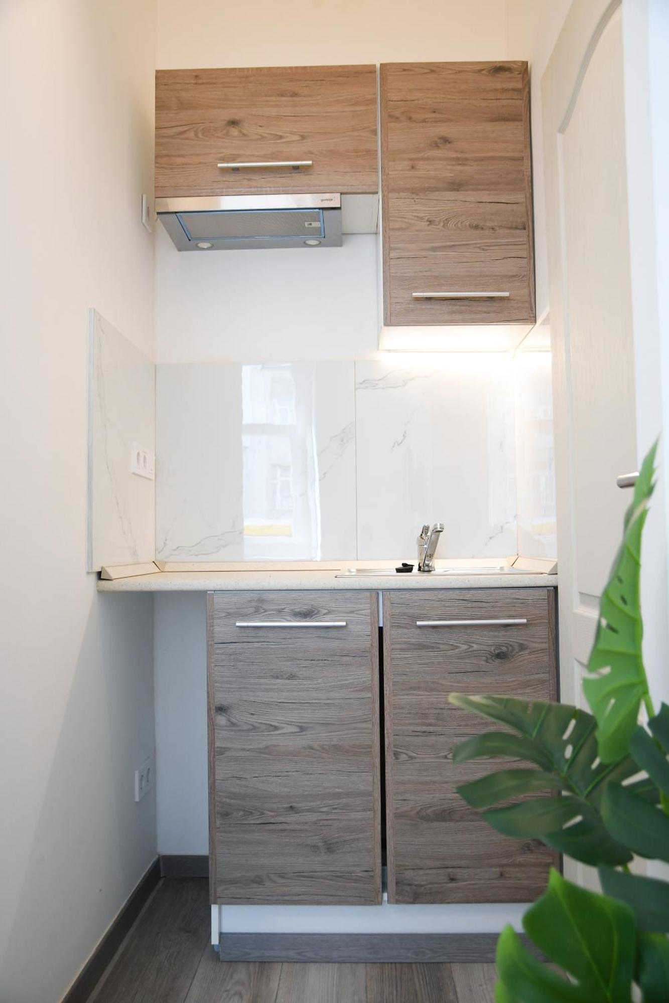 Buda Central Tiny Studios Budapest Ngoại thất bức ảnh